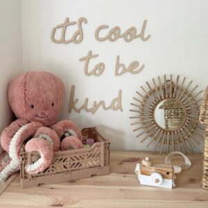 שלט it's cool to be kind