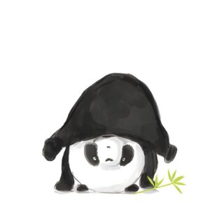 תמונת פנדה על הראש