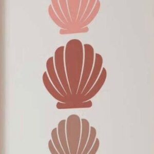 תמונת צדפות