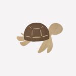 מנורת קיר דגם צב ים